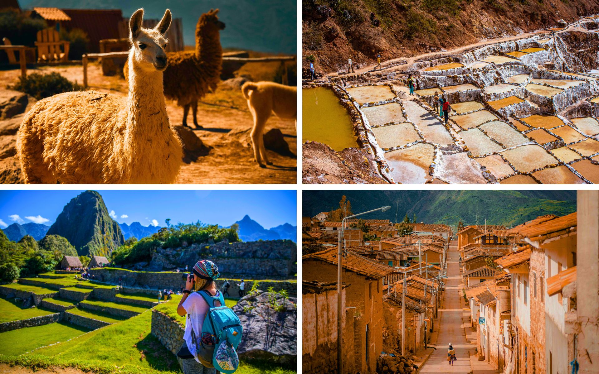 Golden Triangle Explorer (13) Golden Triangle Explorer 13